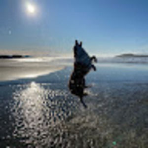 Meet your Posher, Isabella